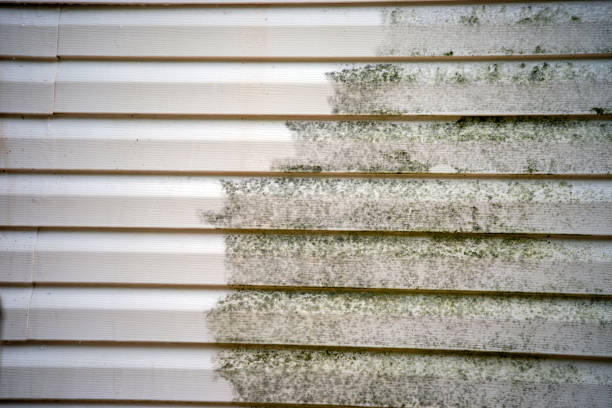 Best Residential Vinyl Siding Installation  in Ivins, UT