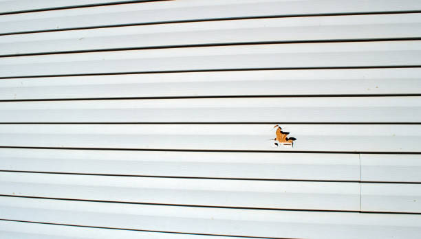 Affordable siding repair and maintenance services in Ivins, UT