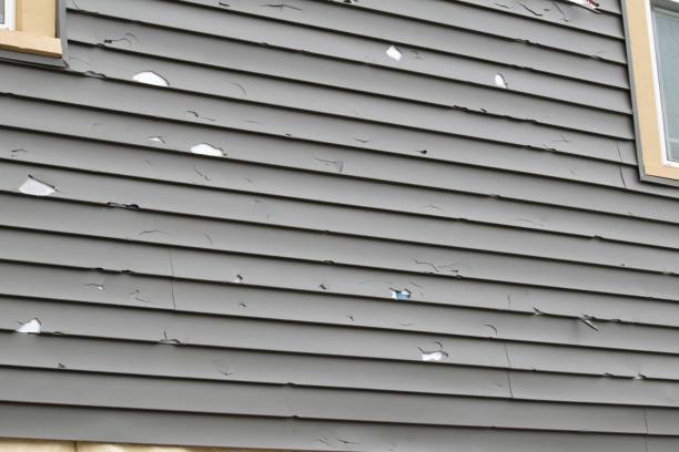 Best Composite Siding  in Ivins, UT